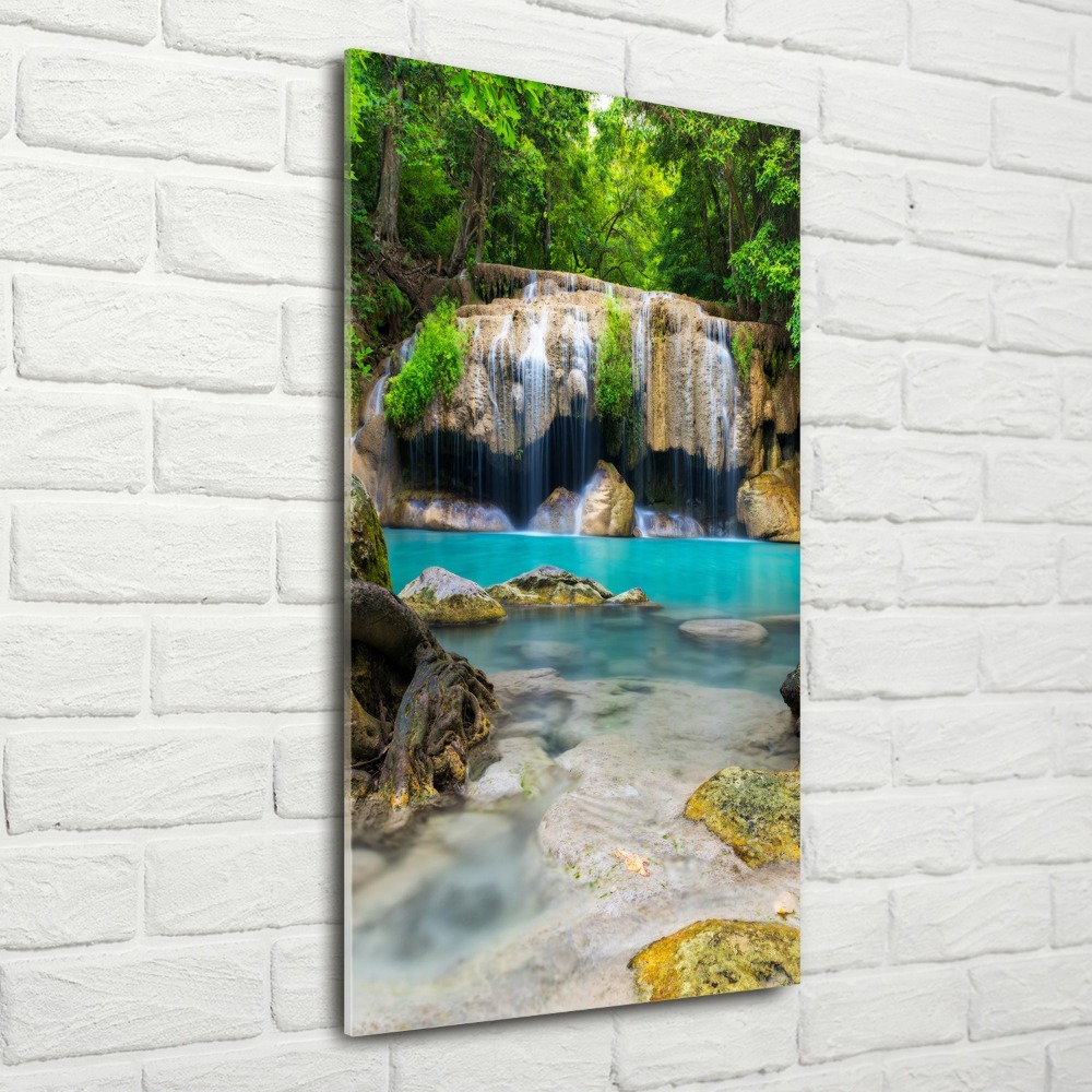 Tableau verre acrylique Cascade dans la jungle