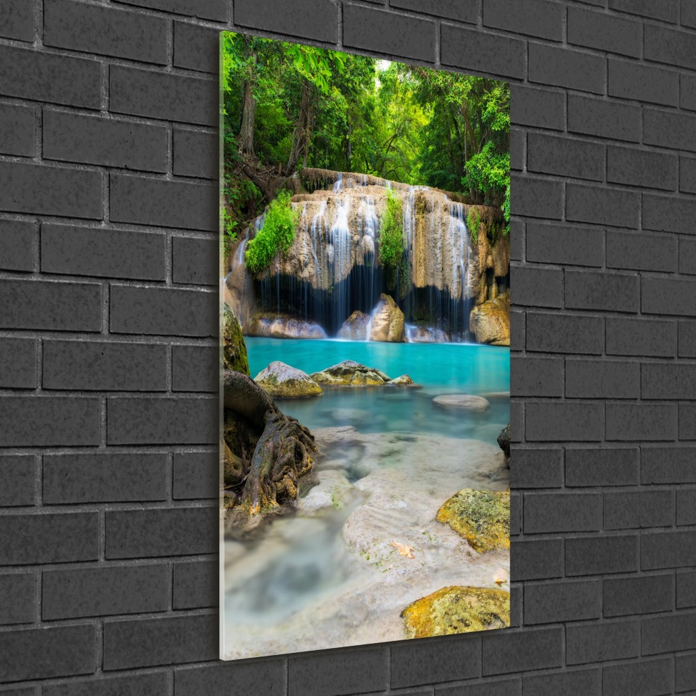 Tableau verre acrylique Cascade dans la jungle