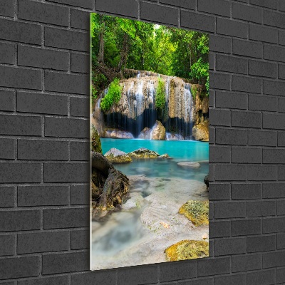 Tableau verre acrylique Cascade dans la jungle