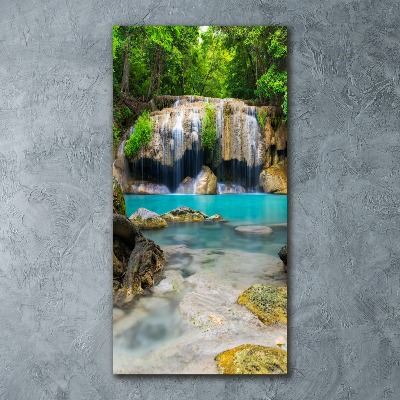 Tableau verre acrylique Cascade dans la jungle