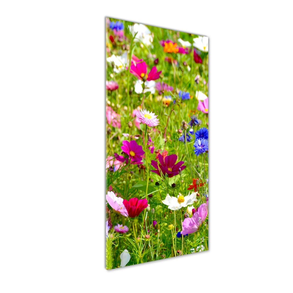 Tableau en acrylique Fleurs des champs