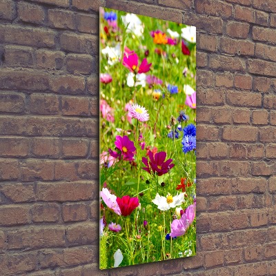 Tableau en acrylique Fleurs des champs