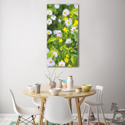 Tableau sur verre acrylique Marguerites