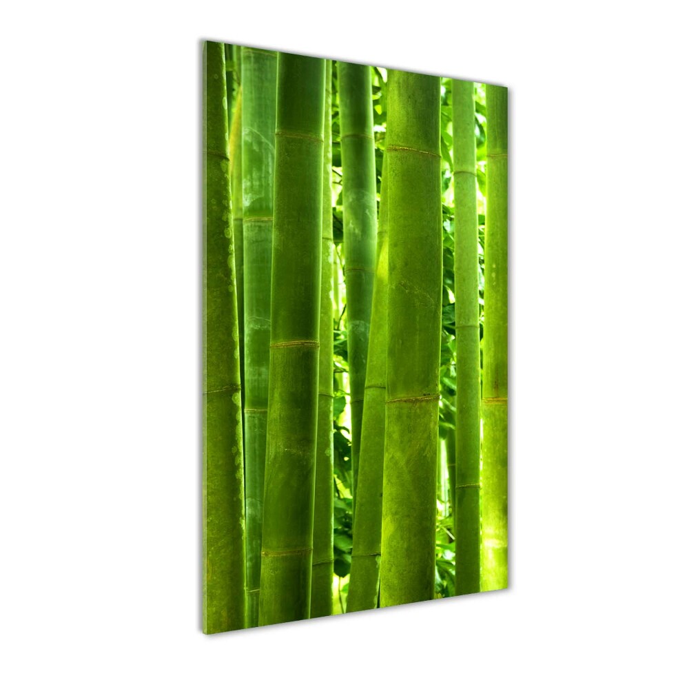 Tableau acrylique Bamboo