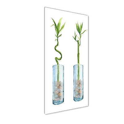 Tableau sur verre acrylique Bambou en pot