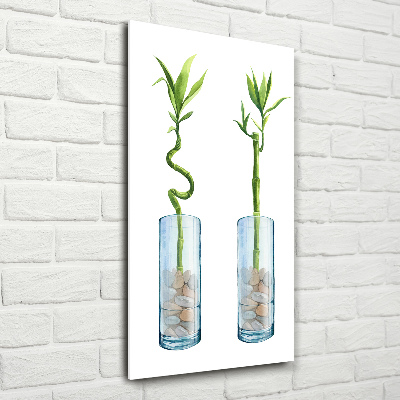 Tableau sur verre acrylique Bambou en pot