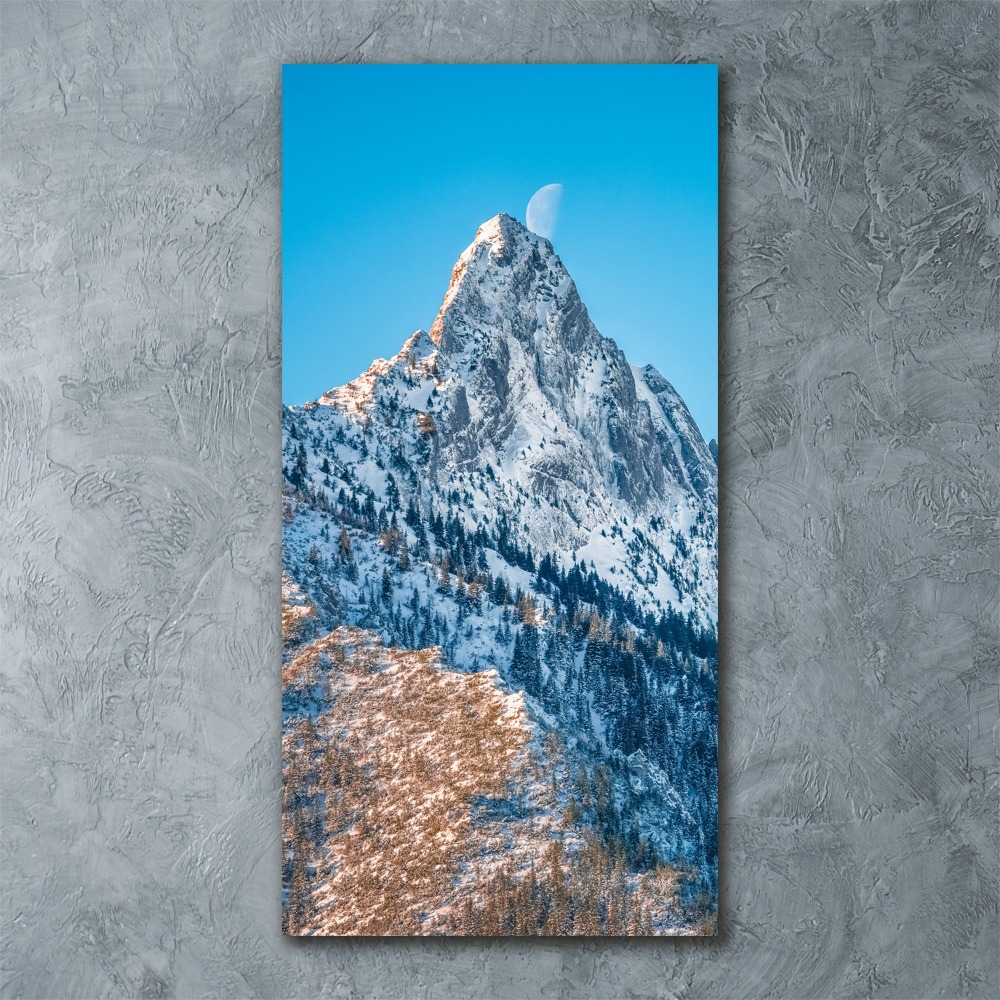 Tableau en acrylique Giewont Tatry