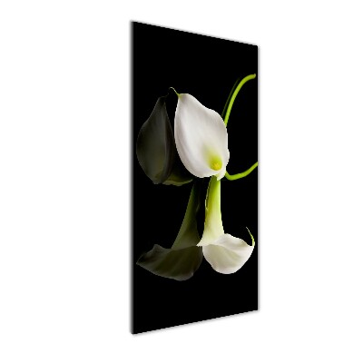 Tableau acrylique Calla blanc