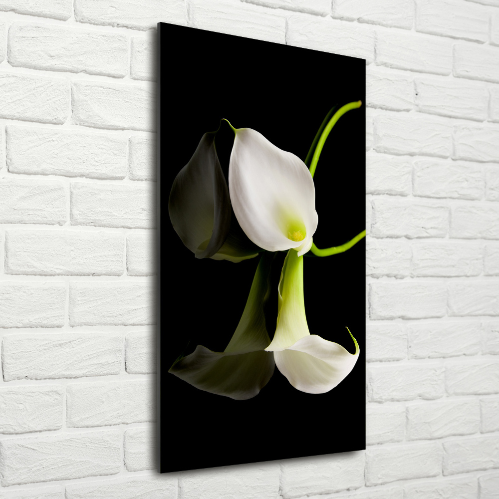 Tableau acrylique Calla blanc