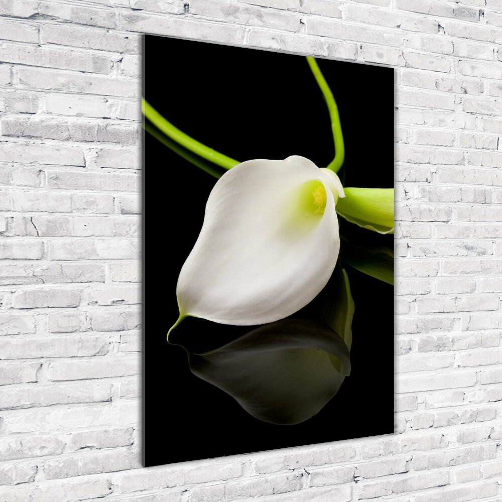 Tableau acrylique Calla blanc