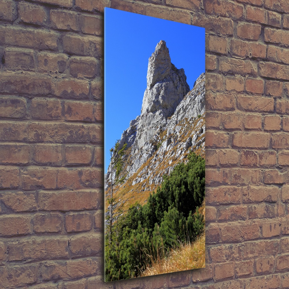 Tableau sur verre acrylique Petites montagnes de Giewont Tatry