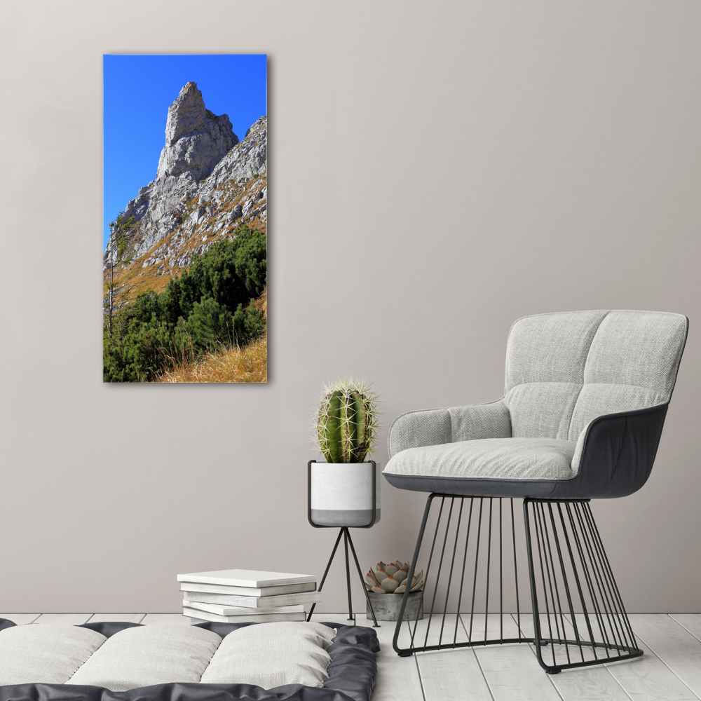 Tableau sur verre acrylique Petites montagnes de Giewont Tatry