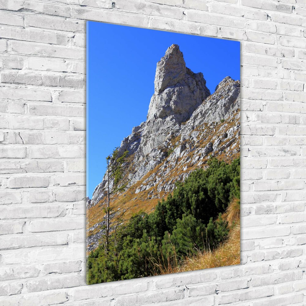 Tableau sur verre acrylique Petites montagnes de Giewont Tatry