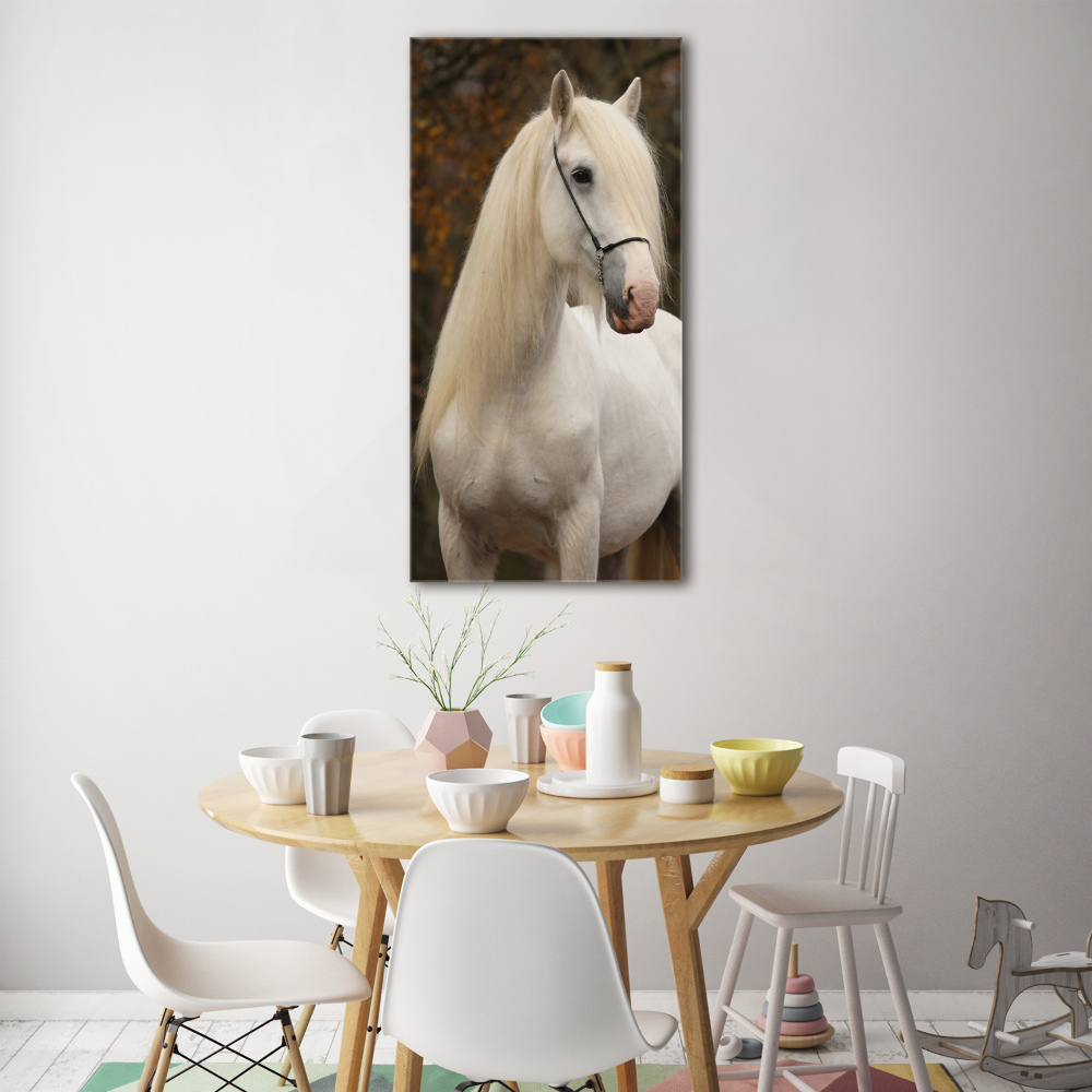 Tableau verre acrylique Cheval blanc