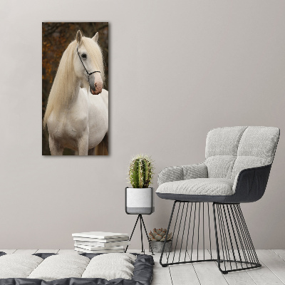 Tableau verre acrylique Cheval blanc