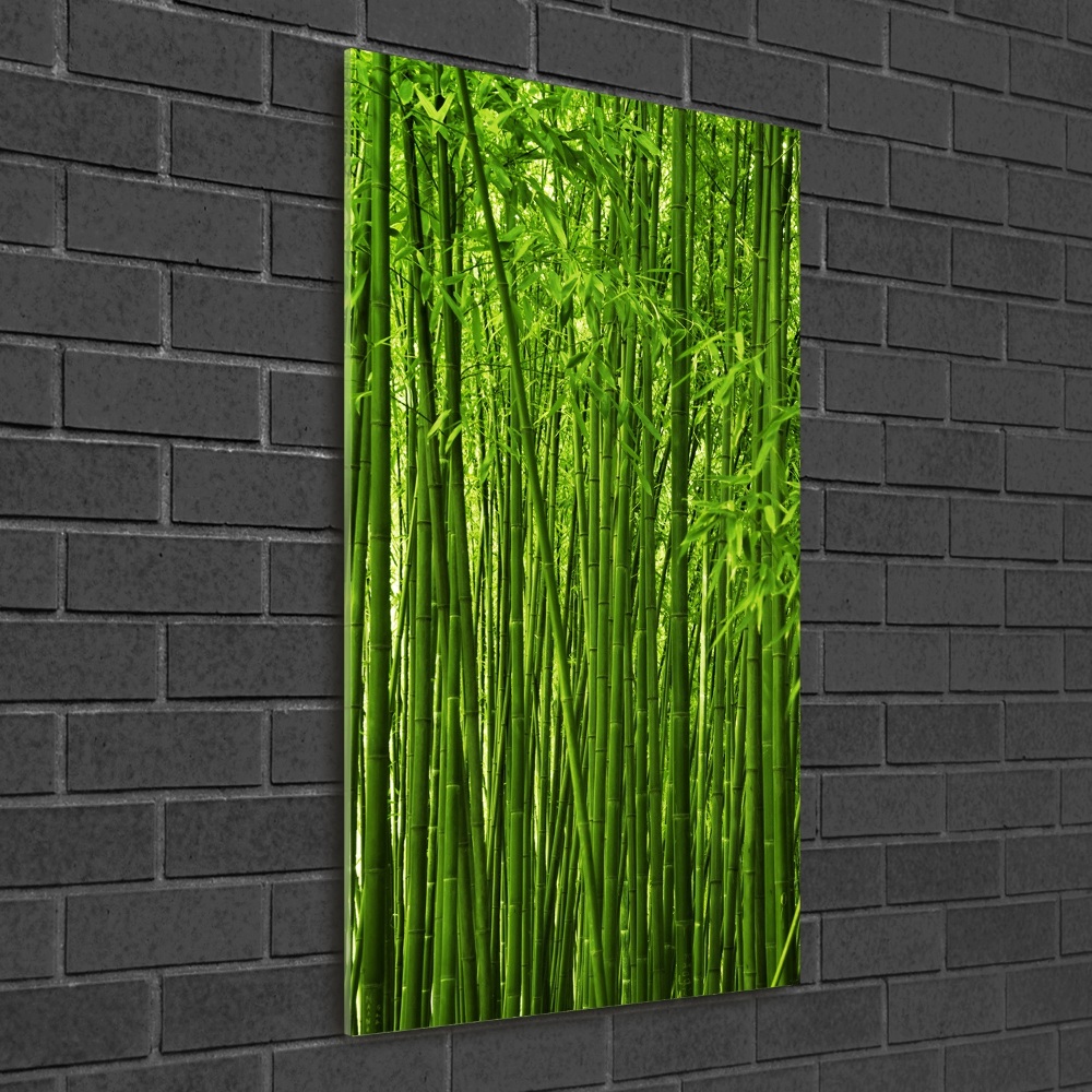 Tableau sur verre acrylique Forêt de bambous