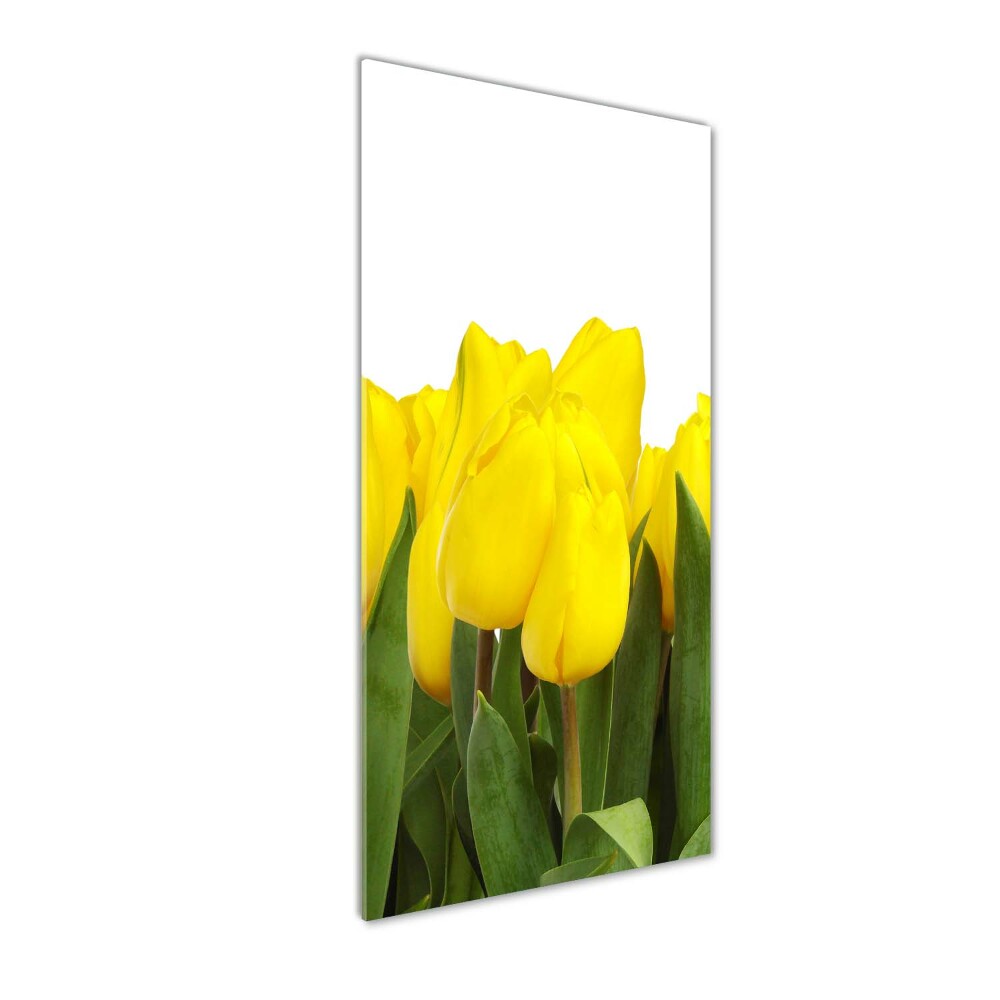 Tableau sur verre acrylique Tulipes jaunes