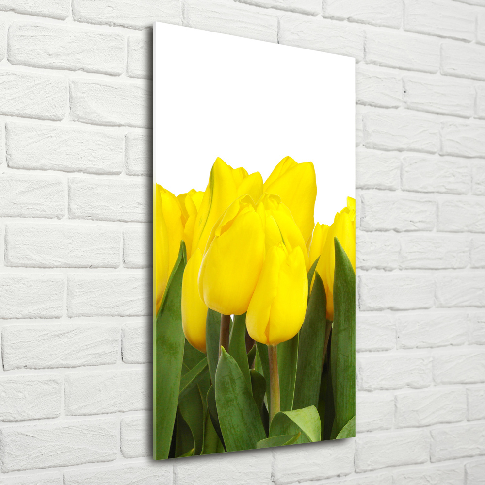 Tableau sur verre acrylique Tulipes jaunes