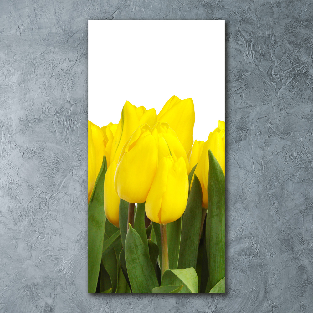 Tableau sur verre acrylique Tulipes jaunes