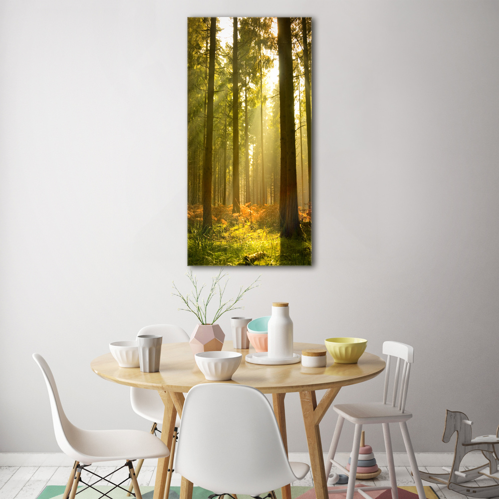 Tableau en acrylique Belle forêt