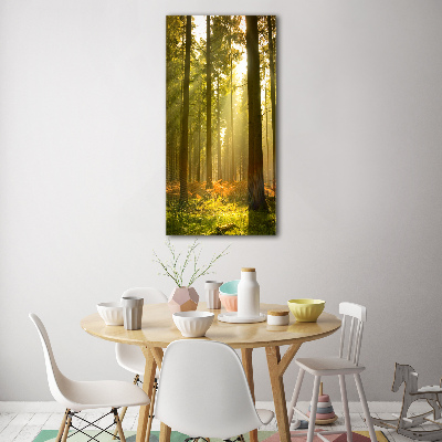 Tableau en acrylique Belle forêt