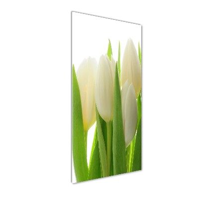 Tableau sur verre acrylique Tulipes blanches