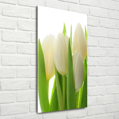 Tableau sur verre acrylique Tulipes blanches