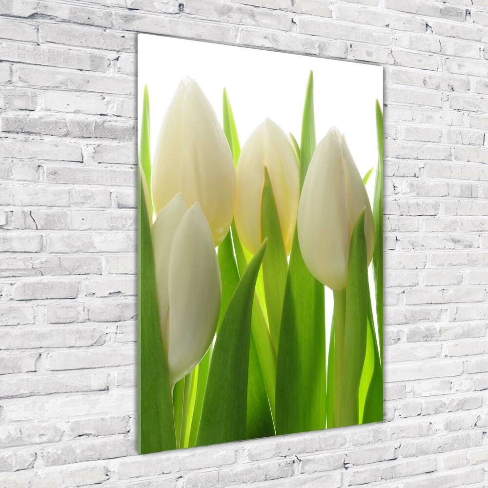 Tableau sur verre acrylique Tulipes blanches