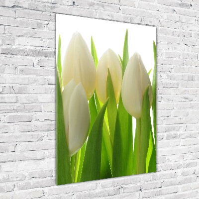 Tableau sur verre acrylique Tulipes blanches