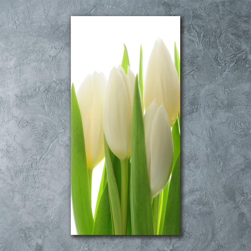 Tableau sur verre acrylique Tulipes blanches