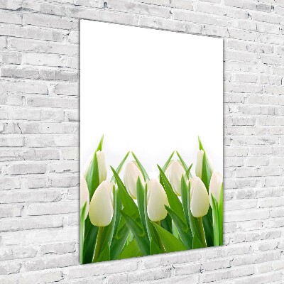 Tableau en acrylique Tulipes blanches fleurs