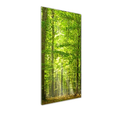 Acrylique tableau Forêt de hêtres