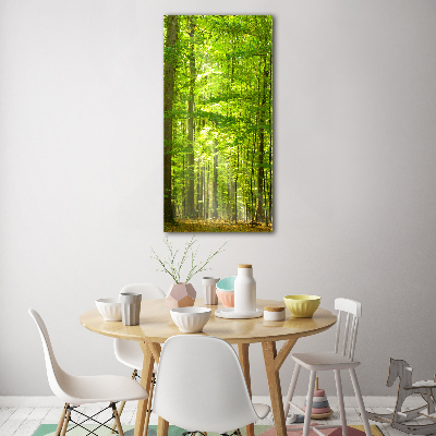 Acrylique tableau Forêt de hêtres