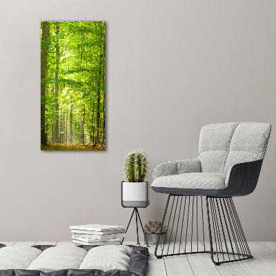 Acrylique tableau Forêt de hêtres