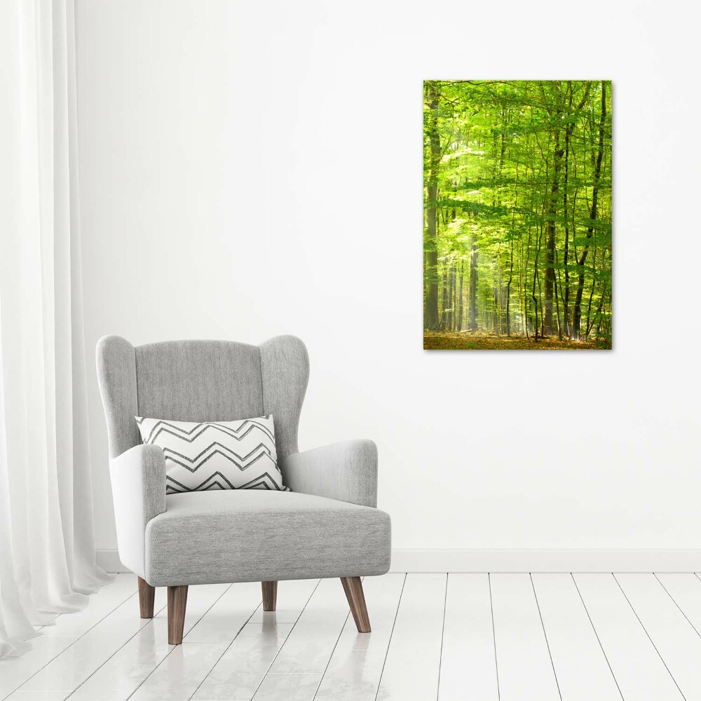 Acrylique tableau Forêt de hêtres