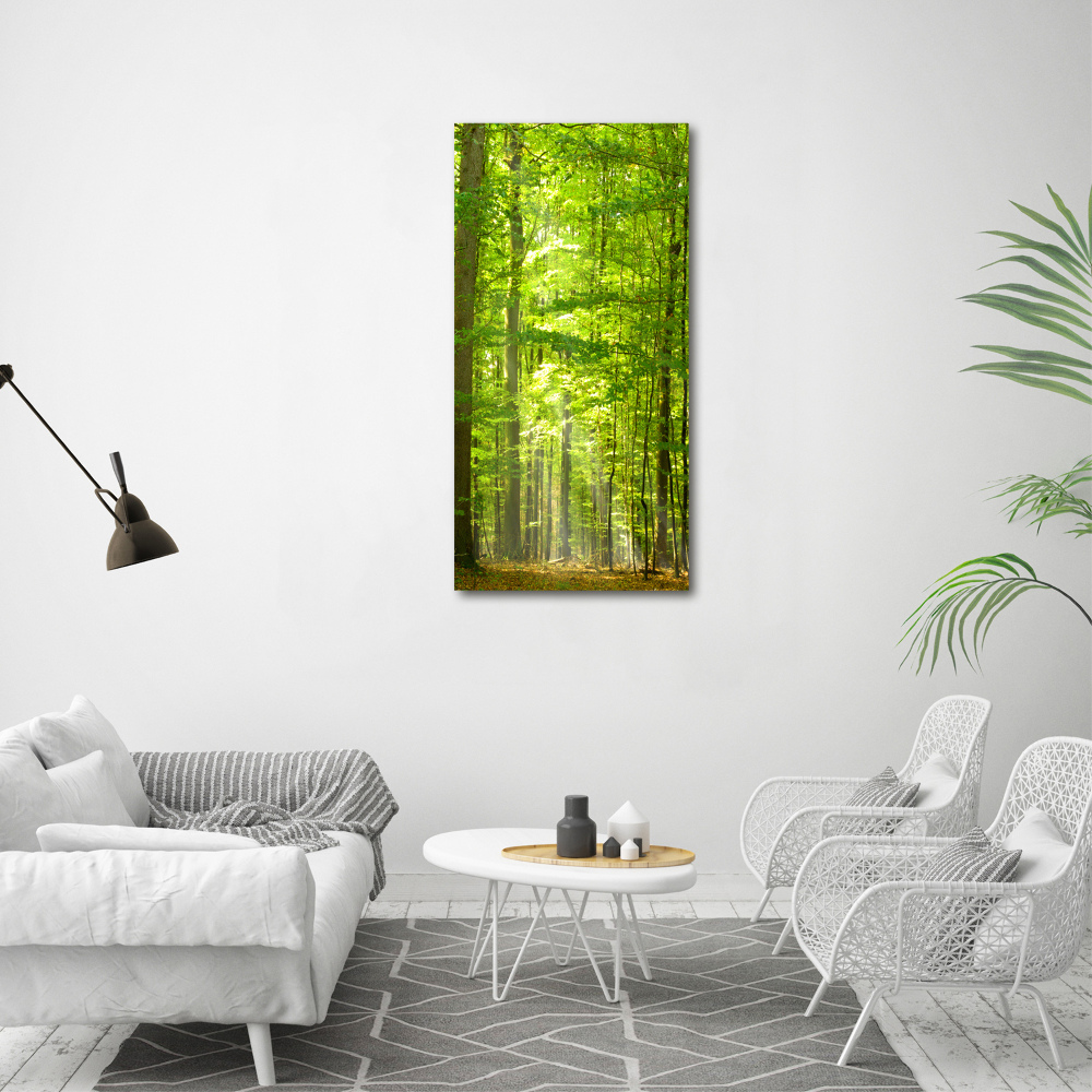 Acrylique tableau Forêt de hêtres