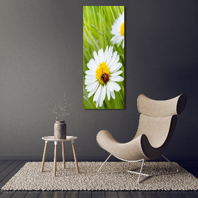 Tableau en acrylique Marguerites