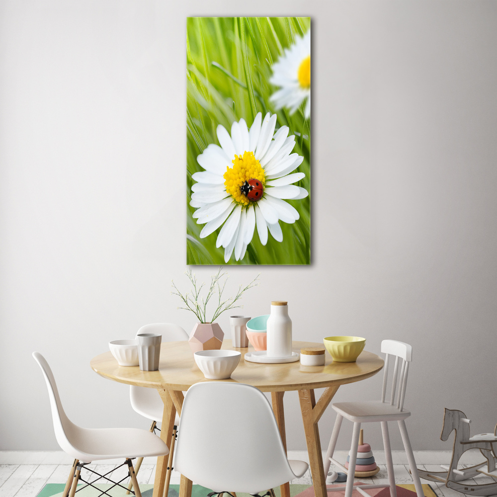 Tableau en acrylique Marguerites