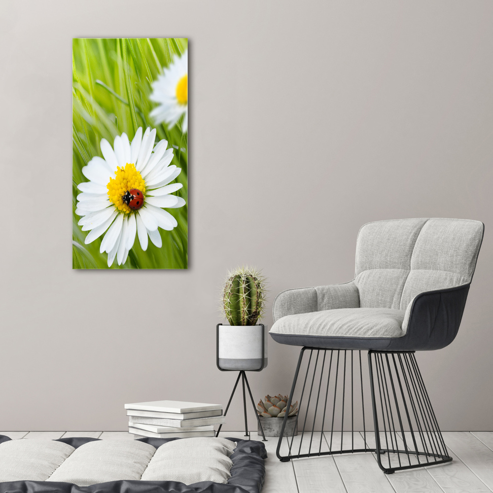 Tableau en acrylique Marguerites