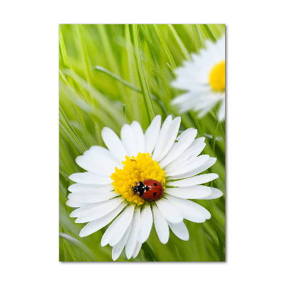 Tableau en acrylique Marguerites