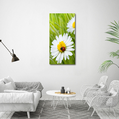 Tableau en acrylique Marguerites