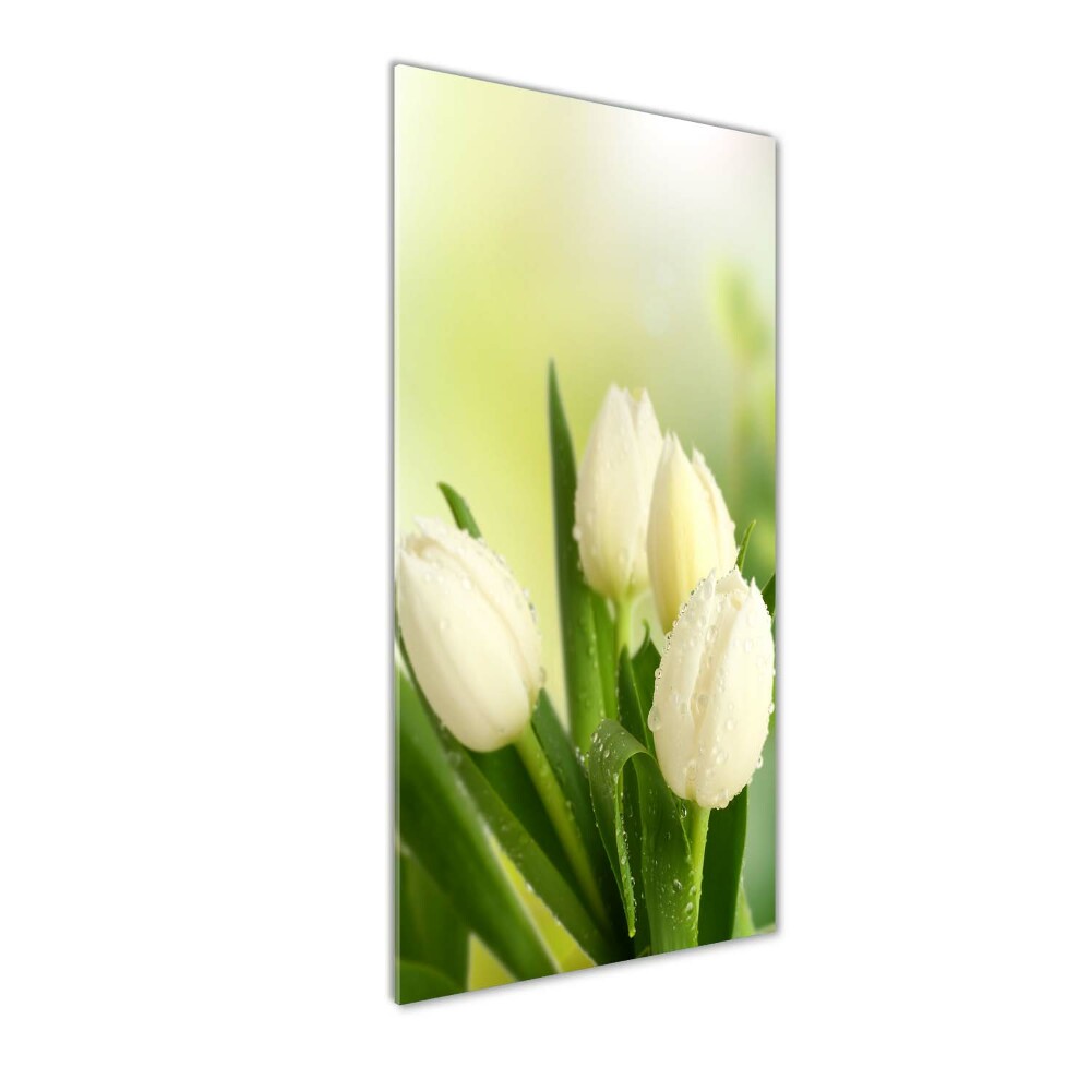 Tableau verre acrylique Tulipes blanches fleurs