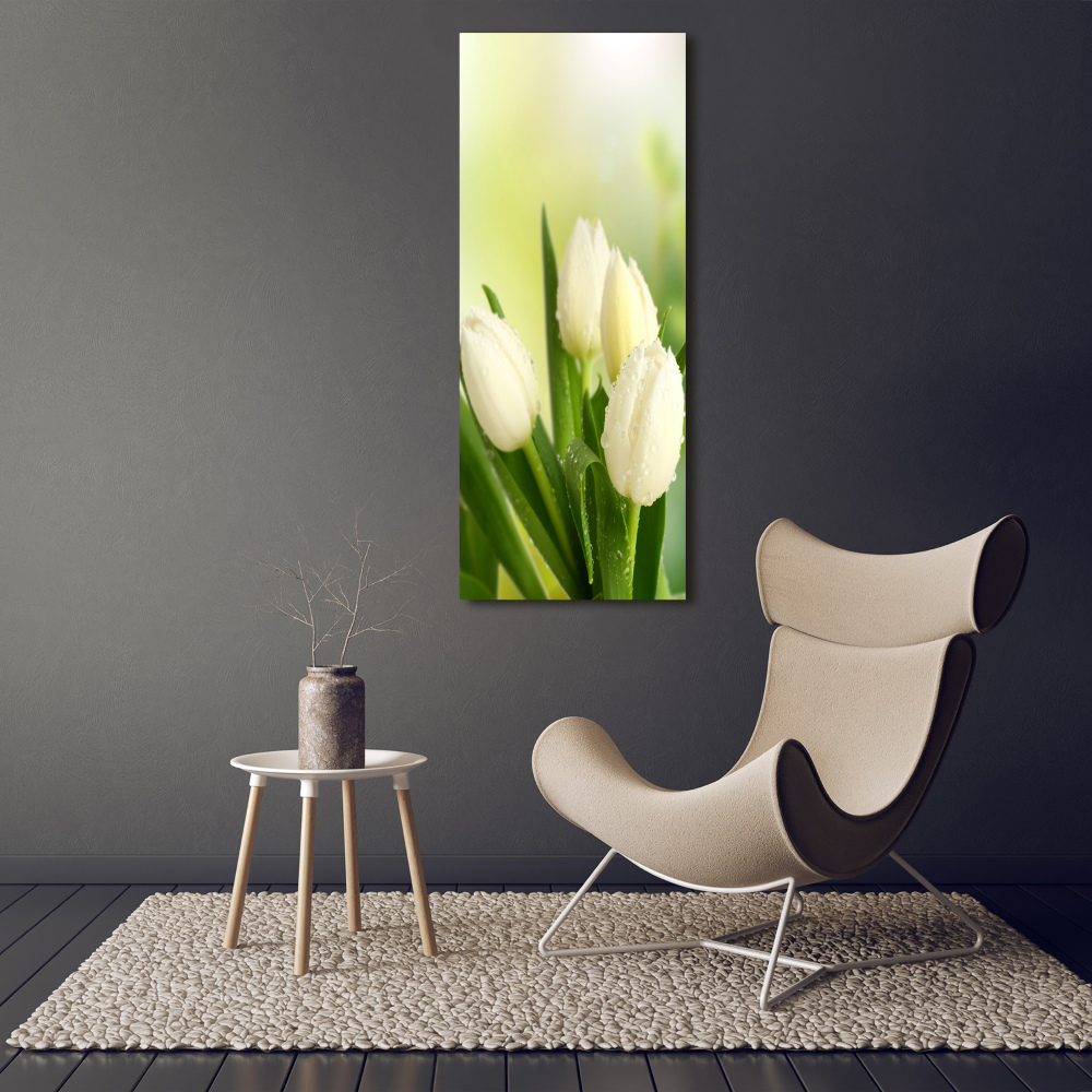 Tableau verre acrylique Tulipes blanches fleurs