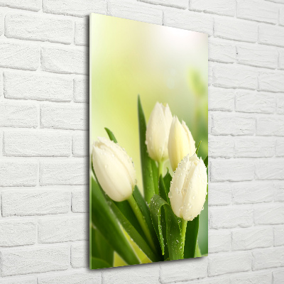 Tableau verre acrylique Tulipes blanches fleurs