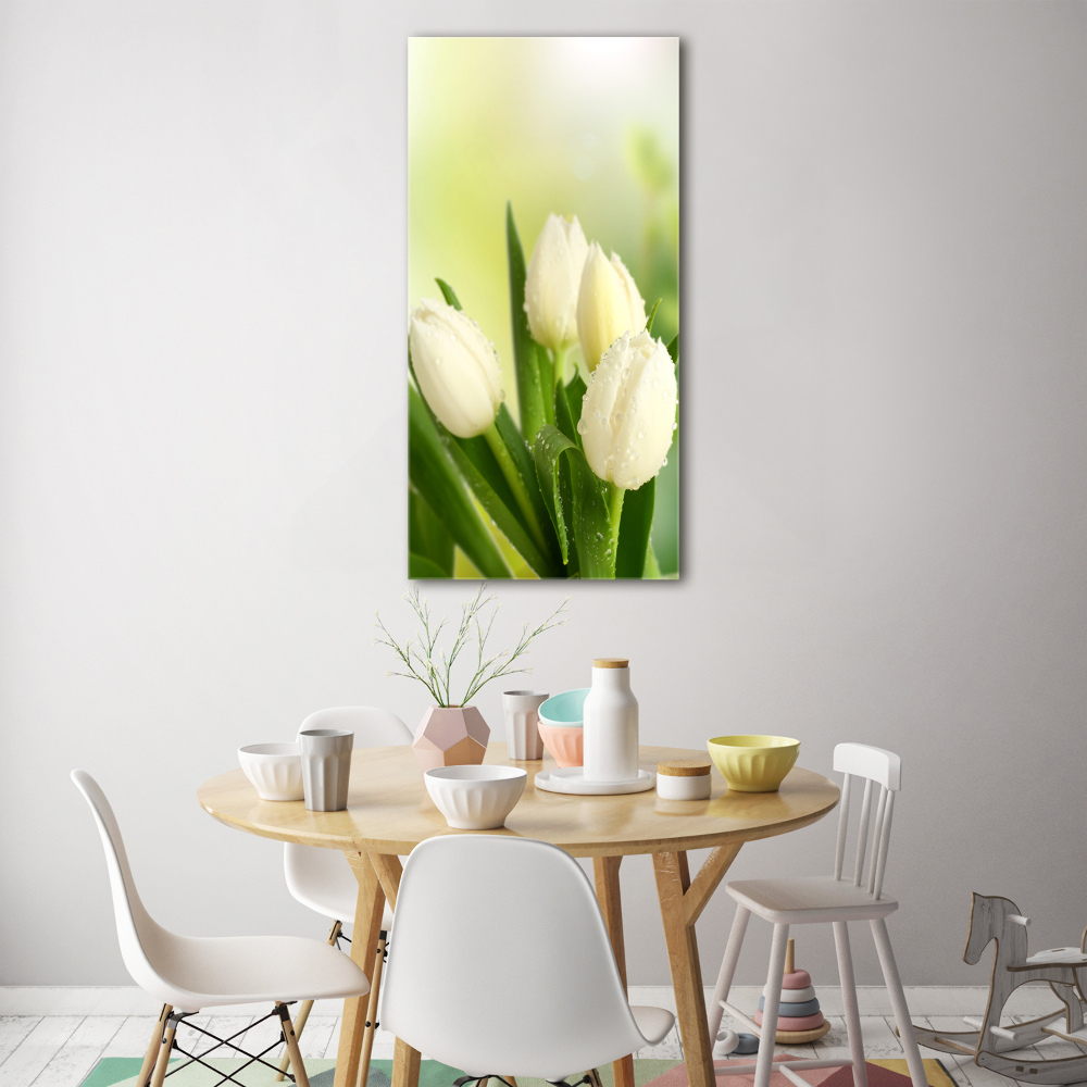 Tableau verre acrylique Tulipes blanches fleurs