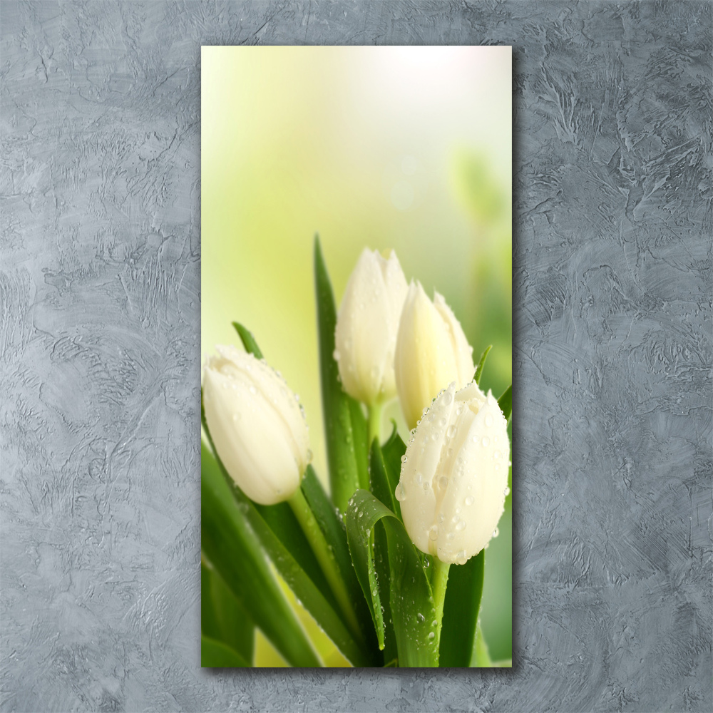 Tableau verre acrylique Tulipes blanches fleurs