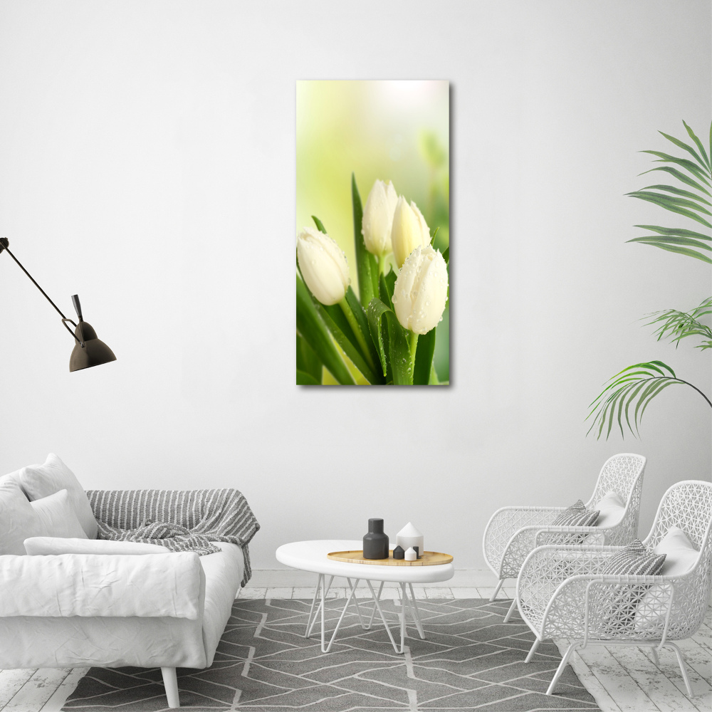 Tableau verre acrylique Tulipes blanches fleurs