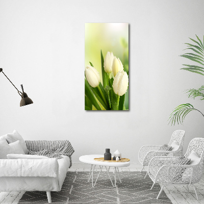 Tableau verre acrylique Tulipes blanches fleurs