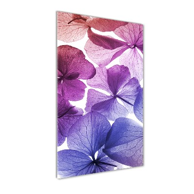 Tableau verre acrylique Fleurs violettes