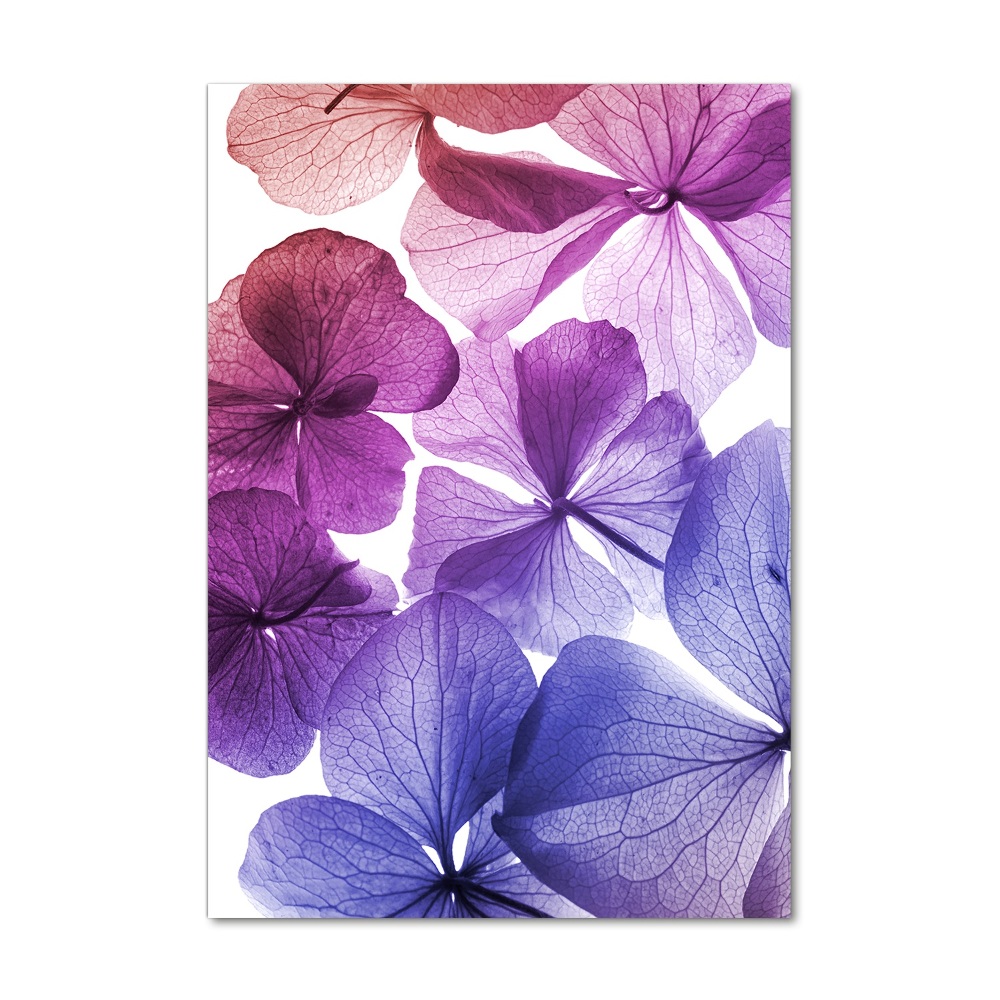 Tableau verre acrylique Fleurs violettes